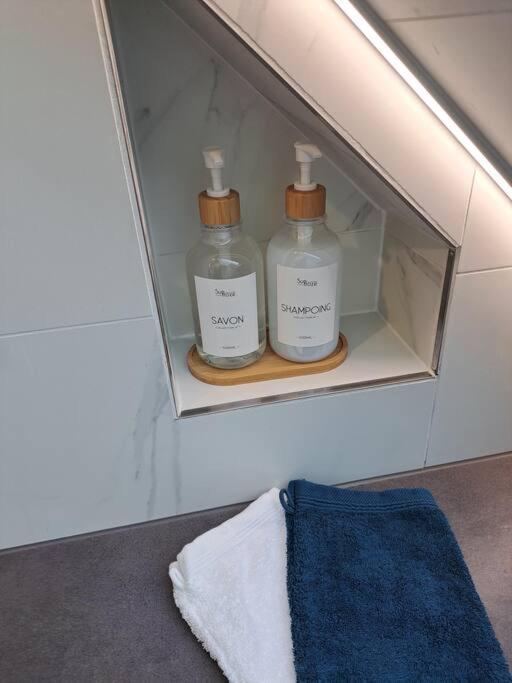 Bel Appartement, Selestat Bagian luar foto