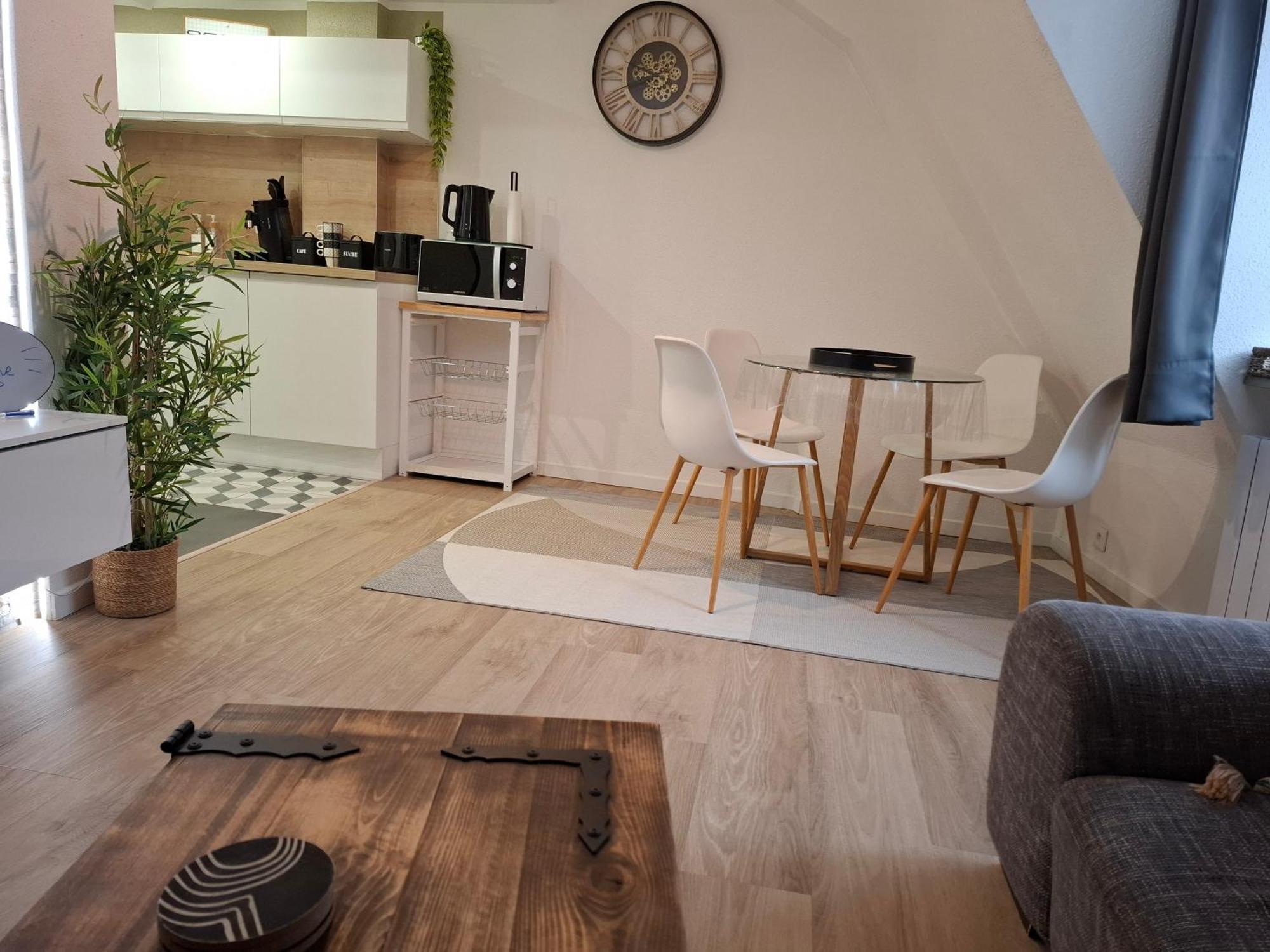 Bel Appartement, Selestat Bagian luar foto