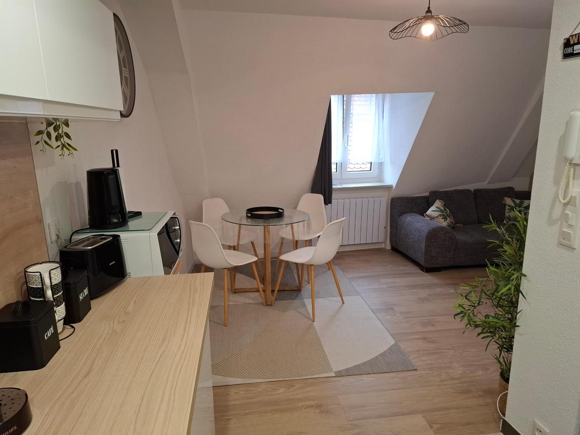 Bel Appartement, Selestat Bagian luar foto