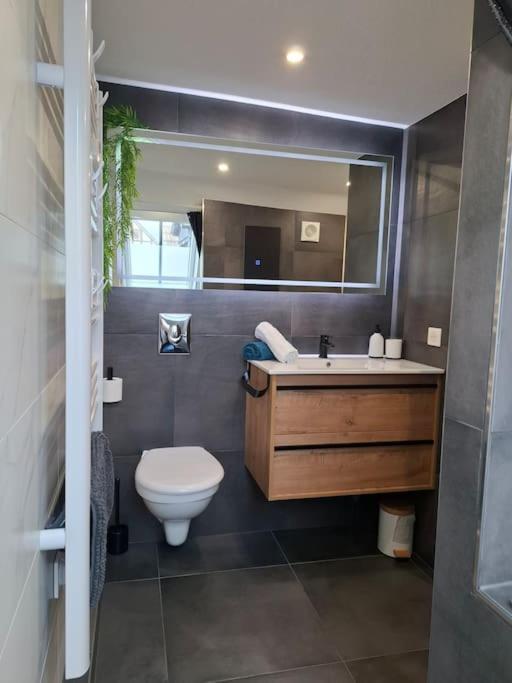 Bel Appartement, Selestat Bagian luar foto
